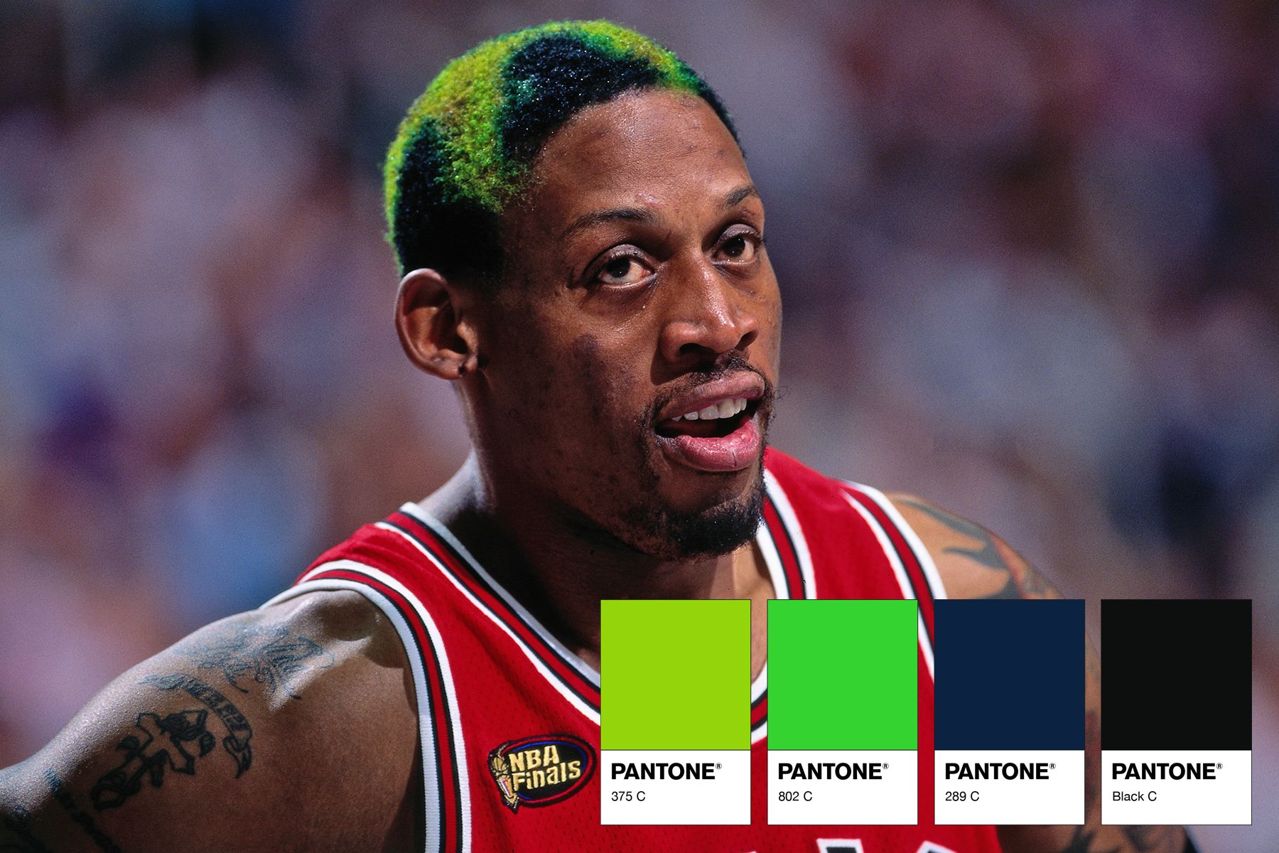Dennis Rodman photo
