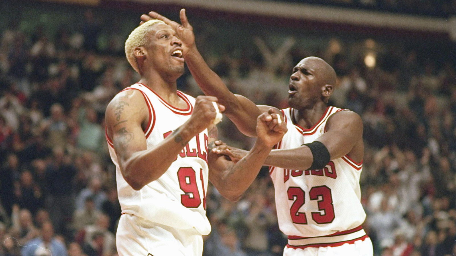 Dennis Rodman photo
