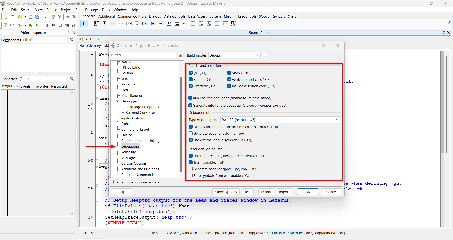 Lazarus project options